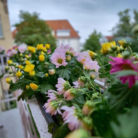 Appartement Otto I - Erfurt Zentrum Eksteriør bilde