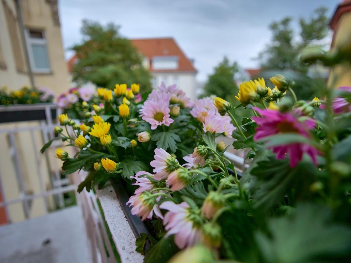 Appartement Otto I - Erfurt Zentrum Eksteriør bilde